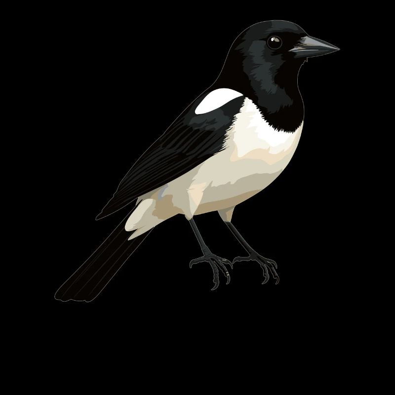 Elstern Elster