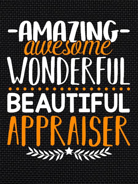 Appraiser Amazing Appraiser