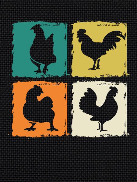 Chicken Rooster