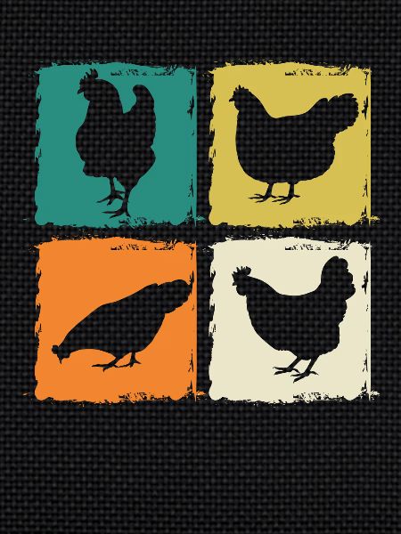 Chickens Hen
