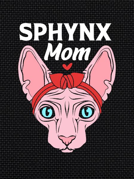Maman chat Sphynx