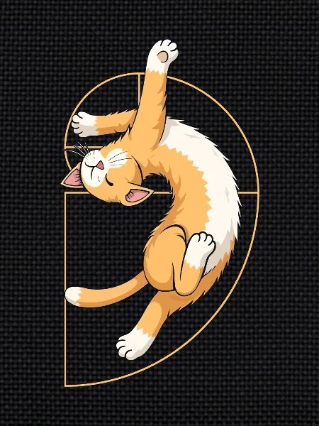 Fibonacci Spiral Cat
