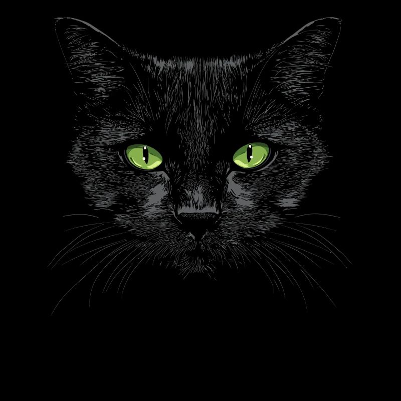 Chat noir yeux verts