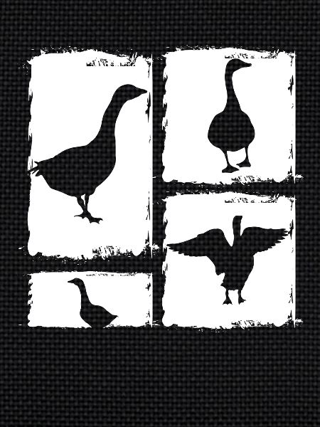 Goose