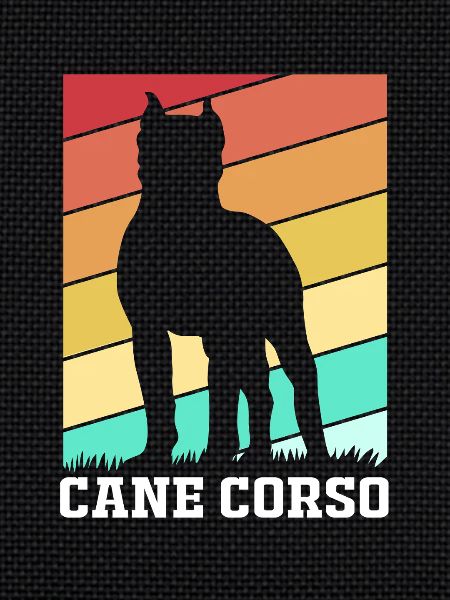 Cane corso