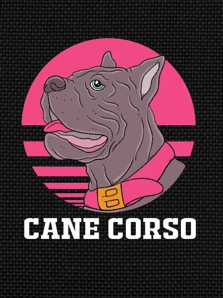 Cane corso