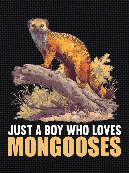 Mongoose's Mongoose
