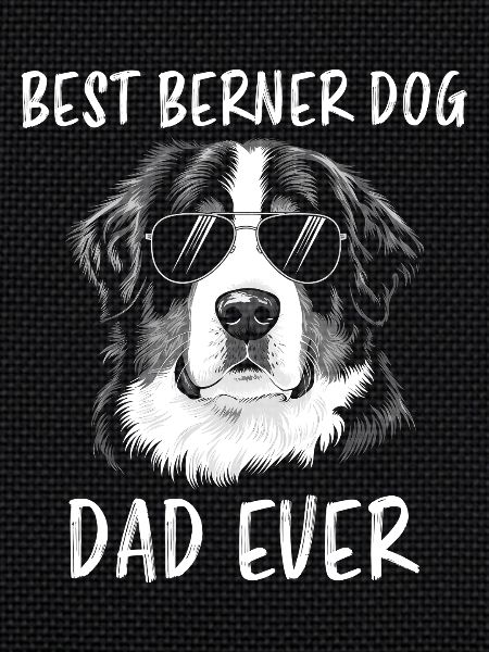 Bouvier bernois Dicton bouvier bernois