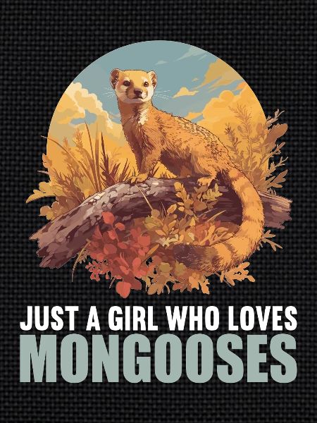 Mongoose's Mongoose