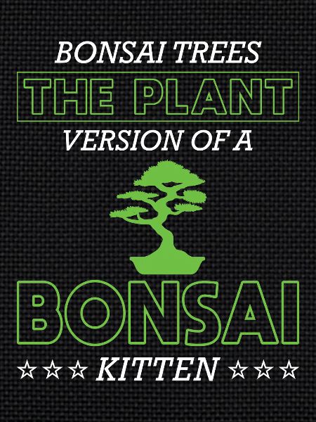 Bonsai Tree