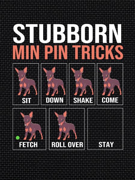 Miniature Pinscher