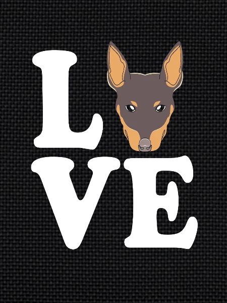 Miniature Pinscher