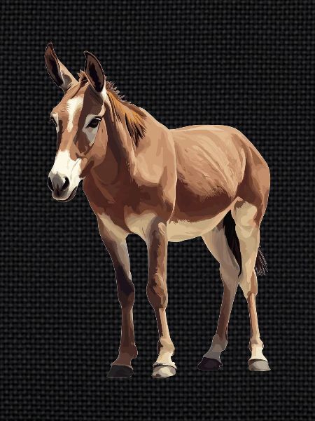 Mules Mule