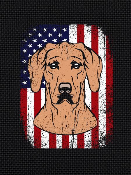 Rhodesian Ridgeback