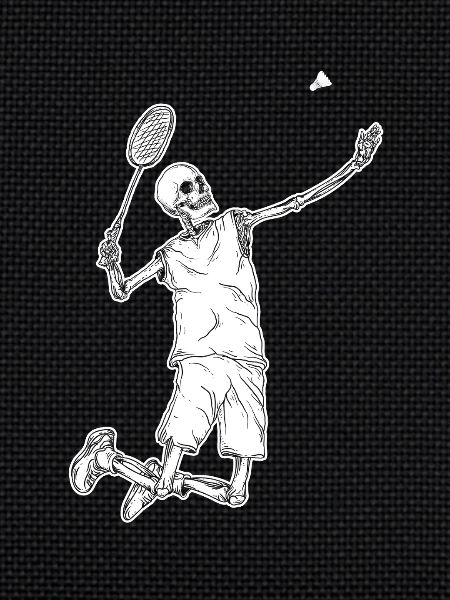 Federball Badminton