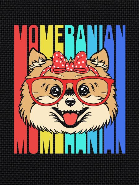 Zwergspitz Pomeranian Mama