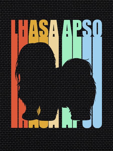 Lhasa Apso