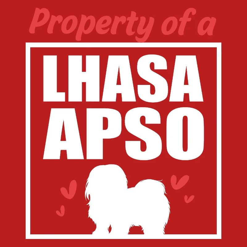 Lhasa Apso Dog