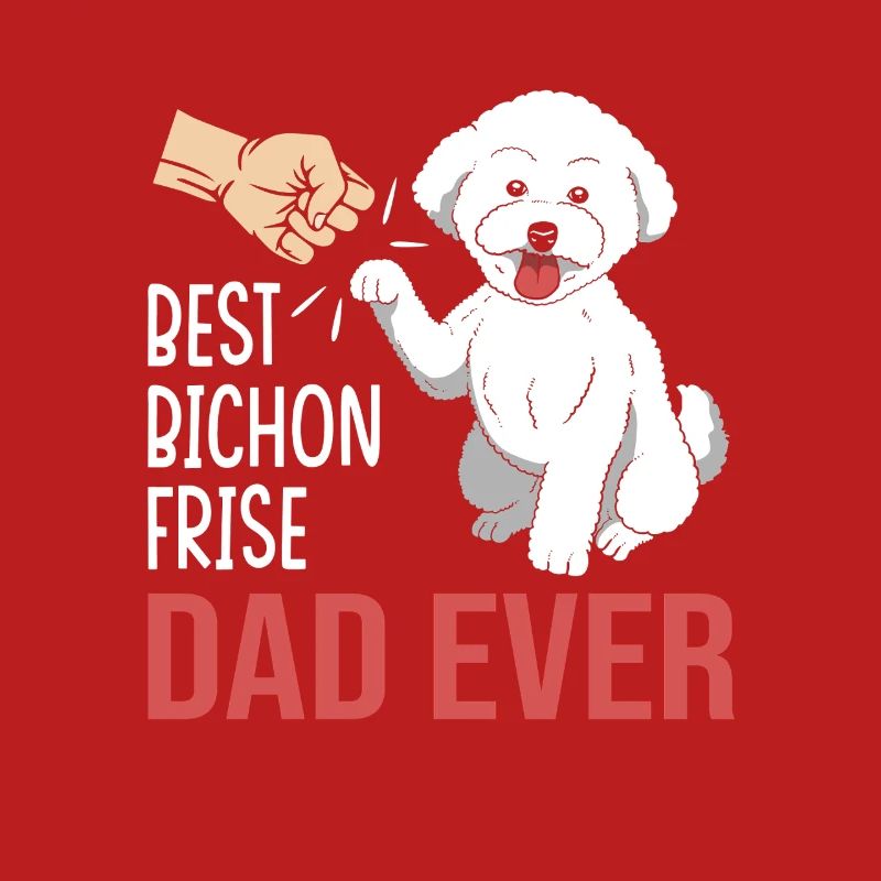 Bichon frisé Chien