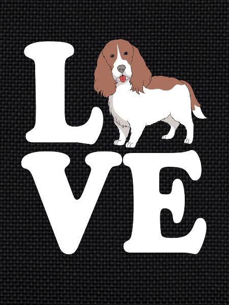 Springer Spaniel Dog