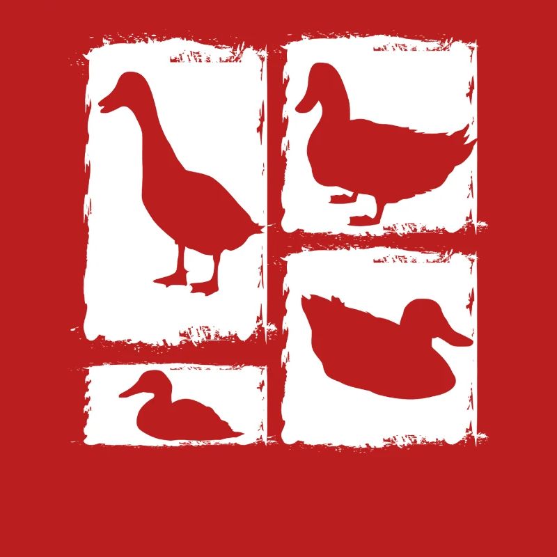 Ducks