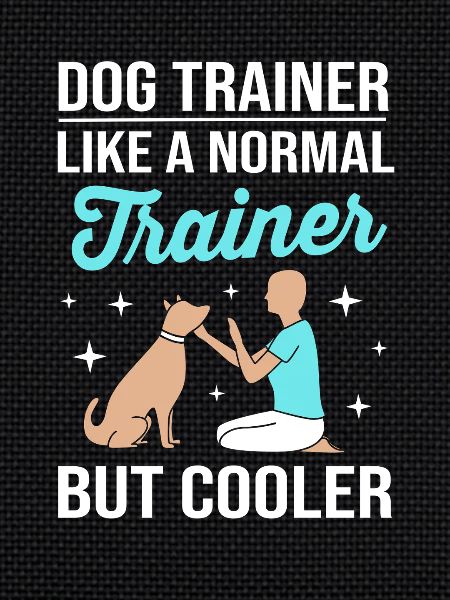 Hundetrainer