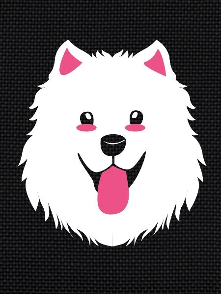Samoyed Dog Samoyed