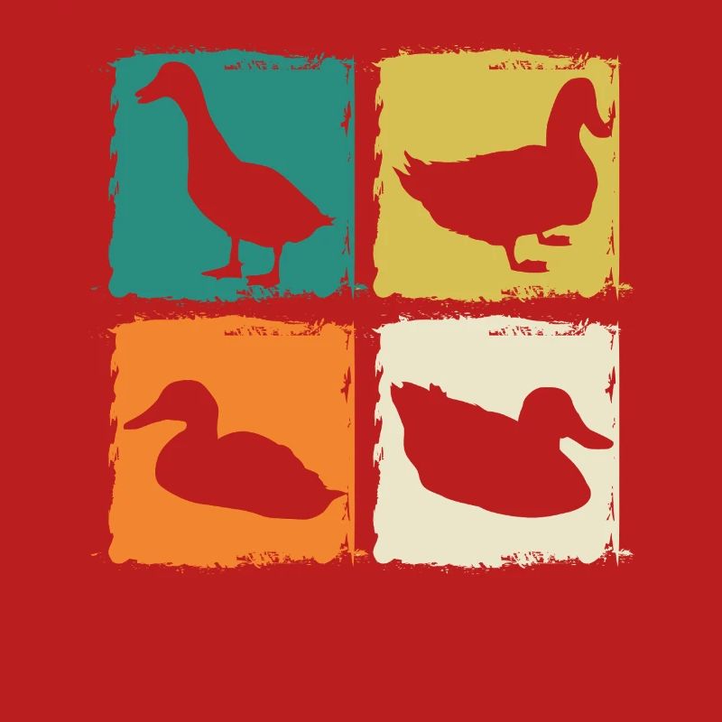 Canards