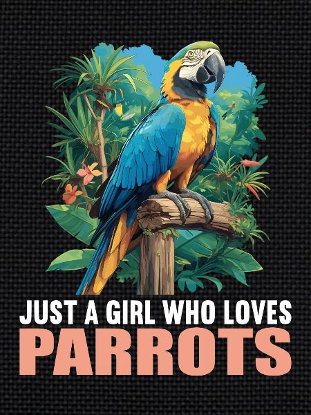 Perroquet Perroquet Perroquet