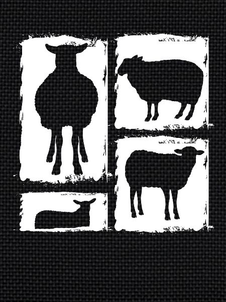 Shepherd Sheep
