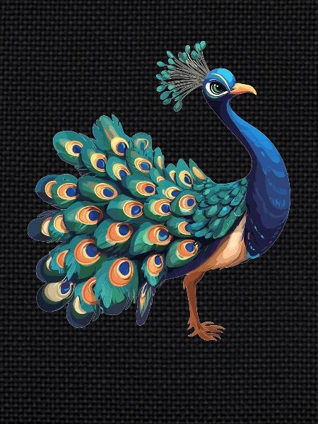 Pfaue Pfau