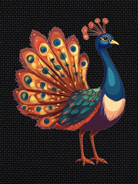 Peacocks Peacock