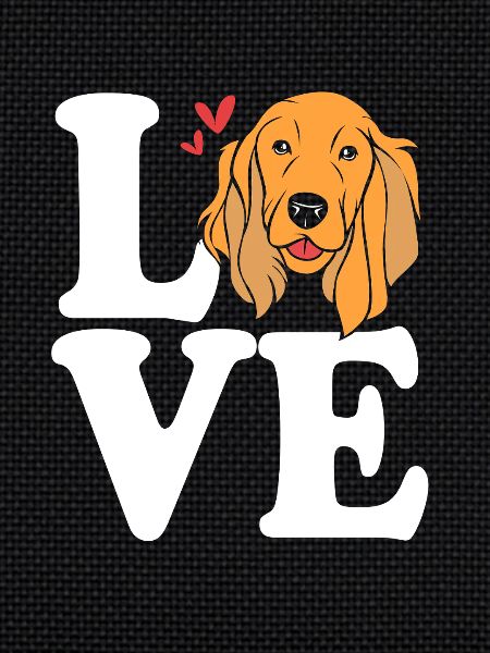 Papa Cocker Spaniel