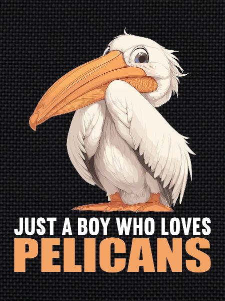 Pelicans Pelican