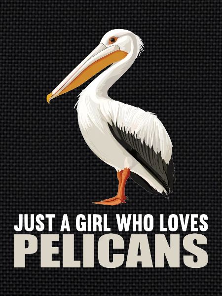 Pélicans Pélican