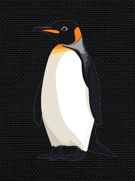 Penguins Penguin