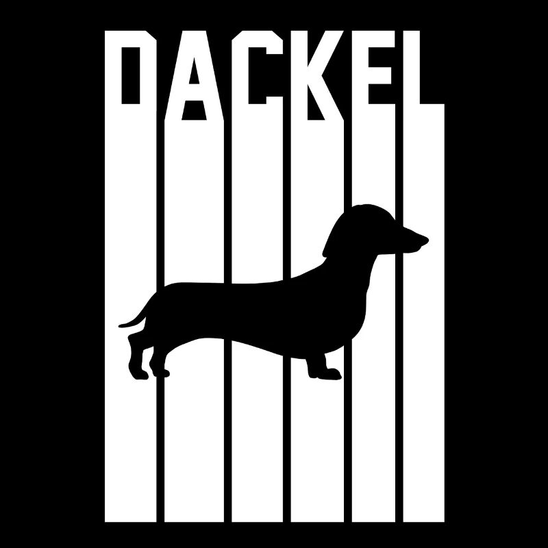 Chien teckel