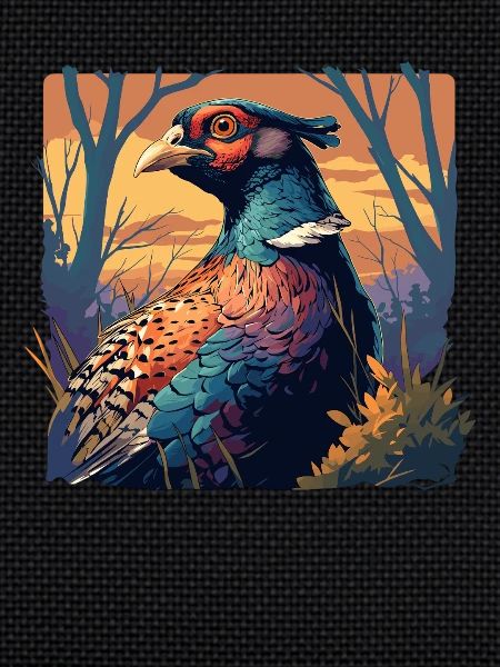 Pheasants Pheasant