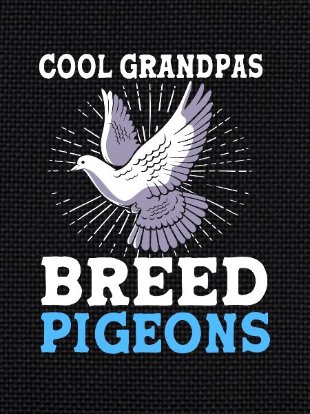 Pigeons Pigeon