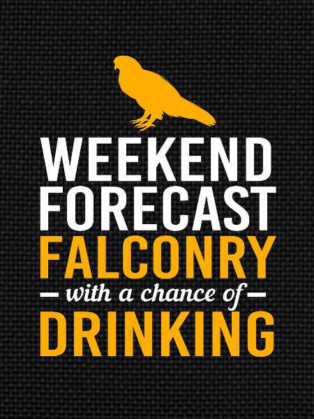 Falcon Chirp Falconry