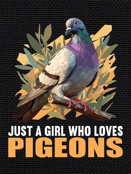 Pigeons Pigeon