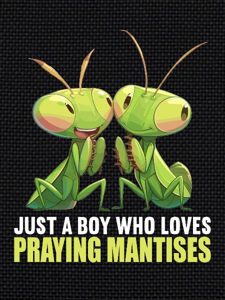Praying mantises Praying mantis