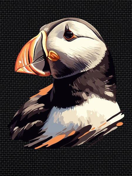 Puffin