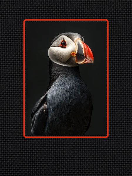 Papageientaucher