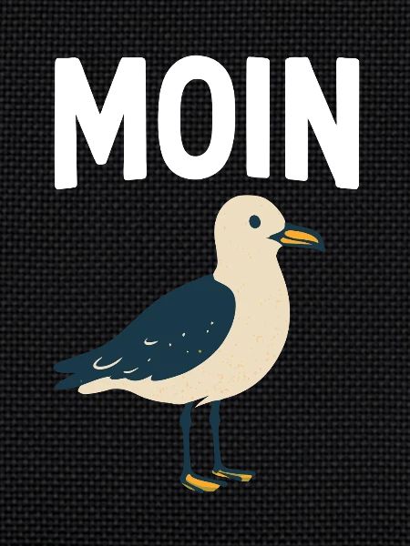 Moin Seagull