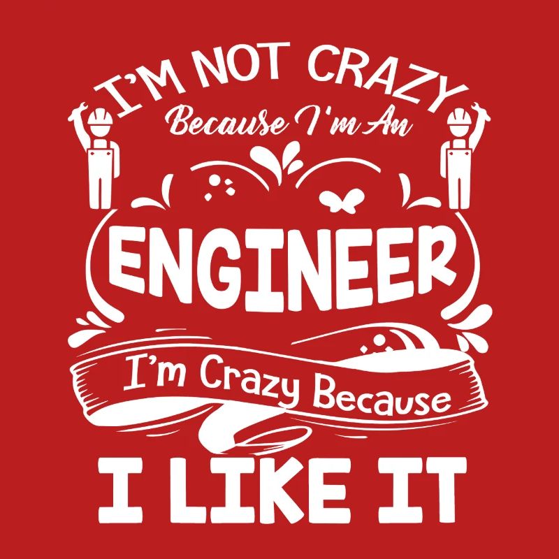 Engineer I am Crazy Because I Like It