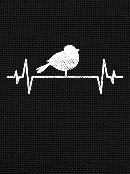 Bird heartbeat