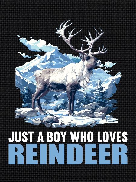 Reindeer Reindeer