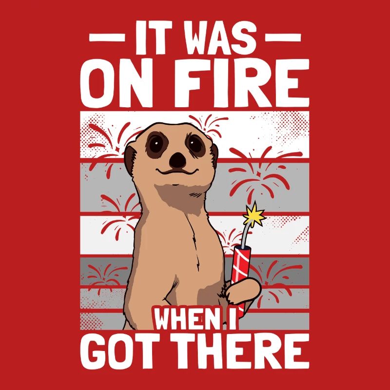 It was on fire: pyrotechnicians, firecrackers, fireworks