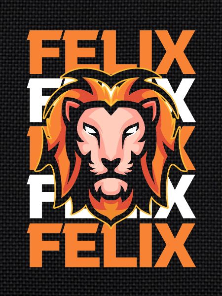 Leo Felix